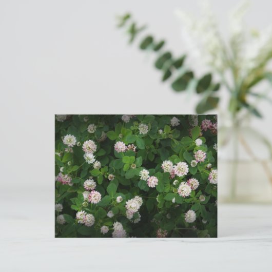 Irish Clovers 4 Leaf Leaves Lucky St. Patricks Day Briefkaart (Staand voorkant)