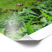 Irish Cottage Home Foto Afdruk (Hoek)