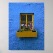 Irish Cottage Windows box Poster (Voorkant)