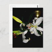 Irish Design-The Flower Collectie Briefkaart (Voorkant / Achterkant)