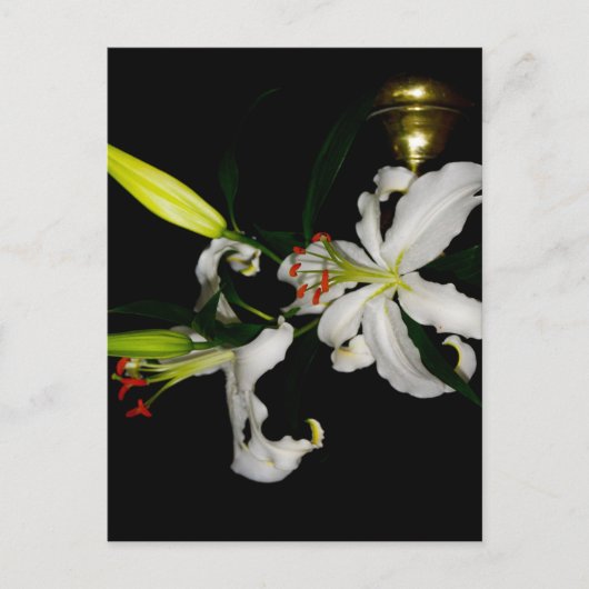 Irish Design-The Flower Collectie Briefkaart (Voorkant)