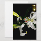 Irish Design-The Flower Collectie Briefpapier (Voorkant / Achterkant)