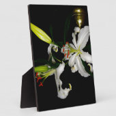 Irish Design-The Flower Collectie Fotoplaat (Zijkant)