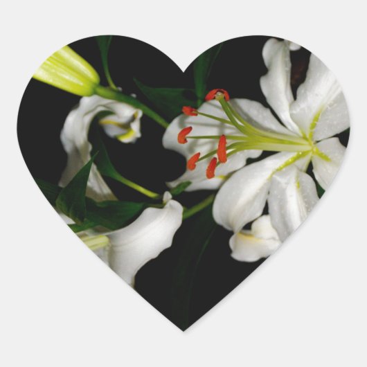 Irish Design-The Flower Collectie Hart Sticker (Voorkant)