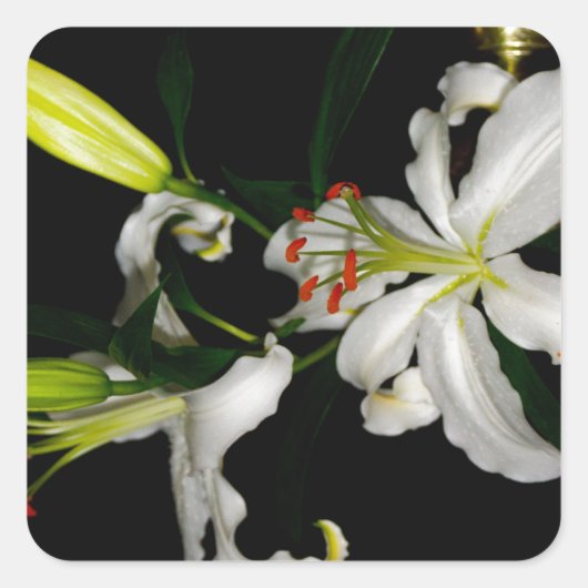 Irish Design-The Flower Collectie Vierkante Sticker (Voorkant)