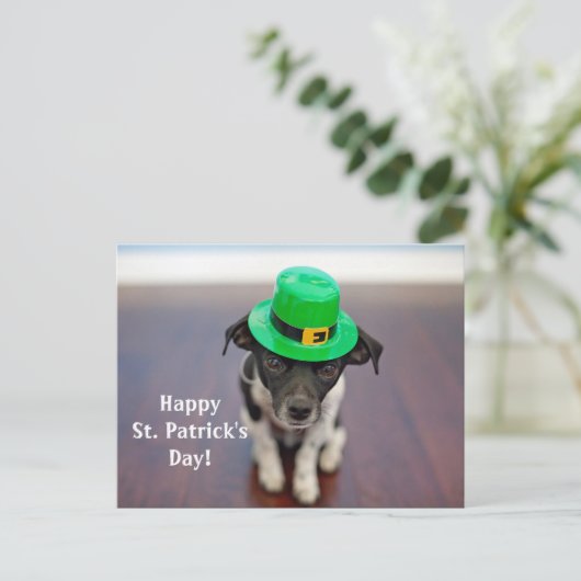 Irish Dog St. Patrick's Day Briefkaart (Staand voorkant)