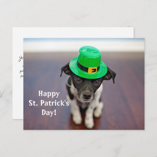 Irish Dog St. Patrick's Day Briefkaart (Voorkant / Achterkant)