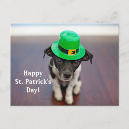 Irish Dog St. Patrick's Day Briefkaart