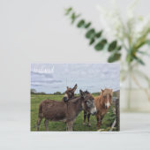 Irish Donkey and Horse, Ireland Briefkaart (Staand voorkant)