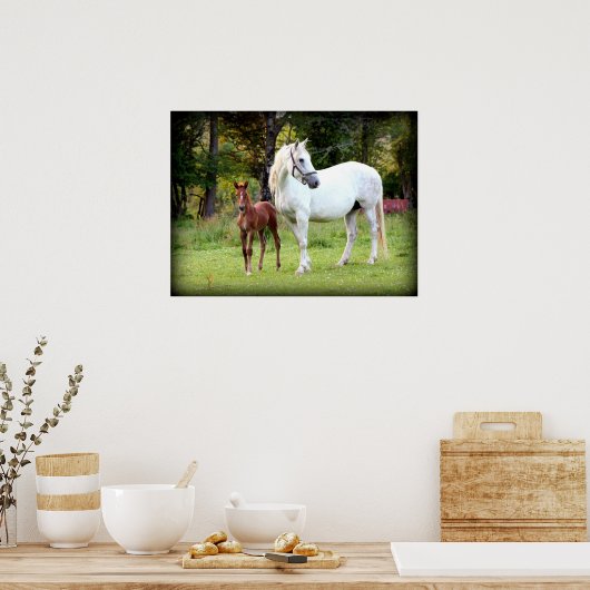 Irish Draft Horse Poster (Keuken)