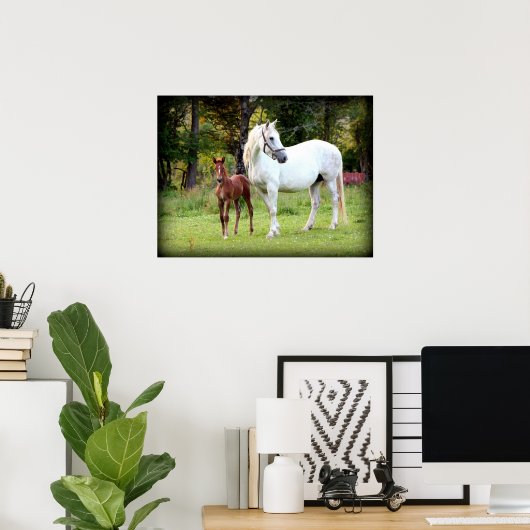 Irish Draft Horse Poster (Thuiskantoor)