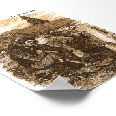 Irish Famine picture collection for poster (Hoek)