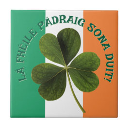 Irish Flag Shamrock Lá Fhéile Pádraig Sona Tegeltje