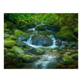 Irish Forest Stream – Emerald Woodland Photo Print Perfect Poster