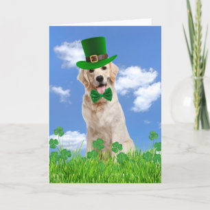 Irish Golden Retriever met Shamrocks Feestdagen Kaart