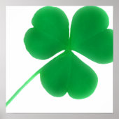Irish Green Shamrock Simple | St. Patrick's Day Poster (Voorkant)