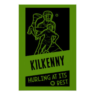 Irish Hurling Sport Perfect Poster