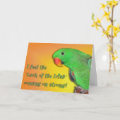 Irish Kiss Kaart (Gele Bloem)