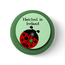 Irish Ladybug