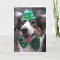 "Irish Lassie"