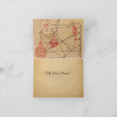 IRISH PIRATE CATS / ANTIEK PIRATEN BEHANDELINGSKAA KAART (Binnen)