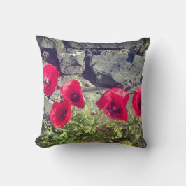 IRISH POPPY AND STONE WALL KUSSEN