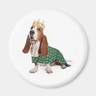 Irish Princess Basset Magneet