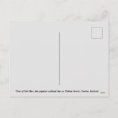 Irish Pub, Salt Bar, Tullow Street, Ierland. Feestdagenkaart (Achterkant)