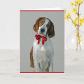 Irish Red and White Setter Cookies Holiday Card Kaart (Gele Bloem)
