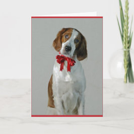 Irish Red and White Setter Cookies Holiday Card Kaart