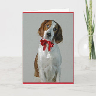 Irish Red and White Setter Cookies Holiday Card Kaart