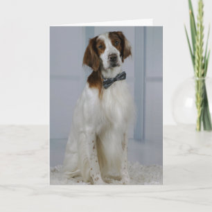 Irish Red and White Setter "Hero Card" Kaart