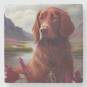 Irish Red op een peddel: een Schilderachtig avontu Stenen Onderzetter