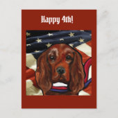 Irish Red Setter    Briefkaart (Voorkant)