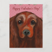 Irish Red Setter Briefkaart (Voorkant)