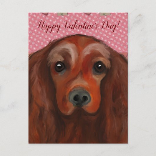 Irish Red Setter Briefkaart (Voorkant)