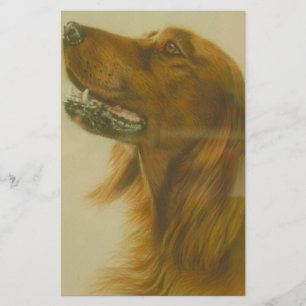 Irish Red Setter Dog Briefpapier