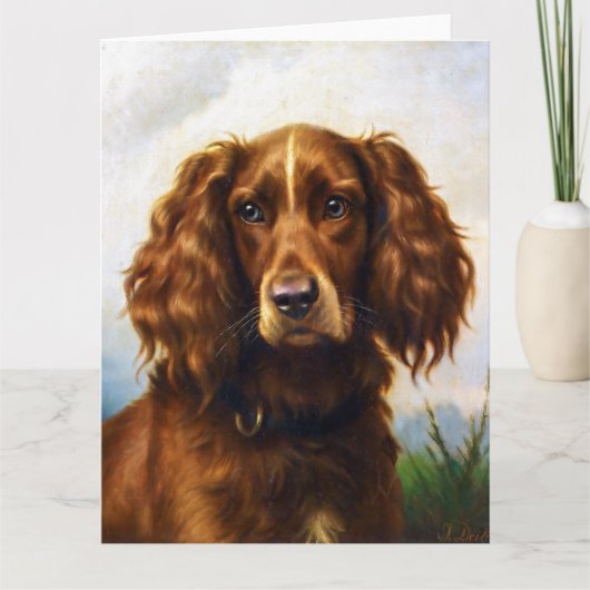 Irish Red Setter Dog Kaart (Voorkant)