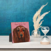Irish Red Setter Fotoplaat (Insitu)
