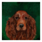 Irish Red Setter Perfect Poster (Voorkant)