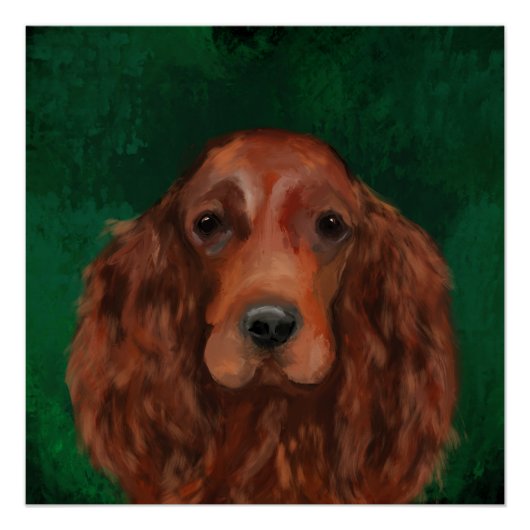 Irish Red Setter Perfect Poster (Voorkant)