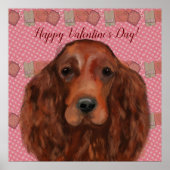 Irish Red Setter Poster (Voorkant)
