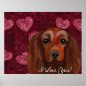 Irish Red Setter Poster (Voorkant)
