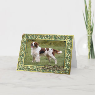 Irish Red & White Setter Dog Blank Christmas Kaart