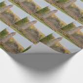 Irish Round Towers ouder dan 1.000 jaar Cadeaupapier (Hoek)