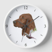 Irish Setter (Voorkant)