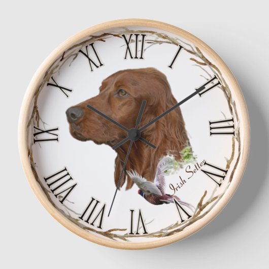 Irish Setter (Voorkant)