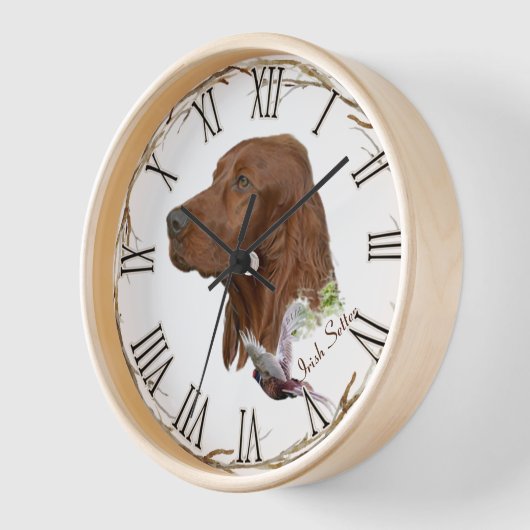 Irish Setter (Hoek)
