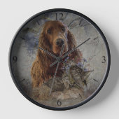Irish Setter (Voorkant)