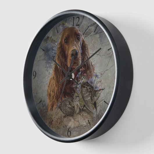 Irish Setter (Hoek)